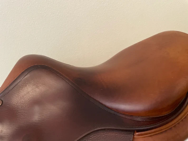 17" - 2017 Bruno Delgrange Partition, 4A Flap, Medium Tree