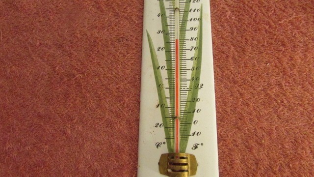 Vintage Thermometer Floral