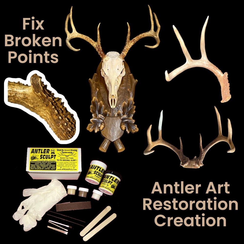 Deer Antler Art Kit - Repair - Replace Missing Tines & Points Create Lamps Trees