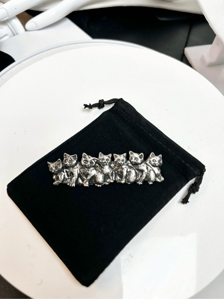 Pewter silver multi kittens brooch