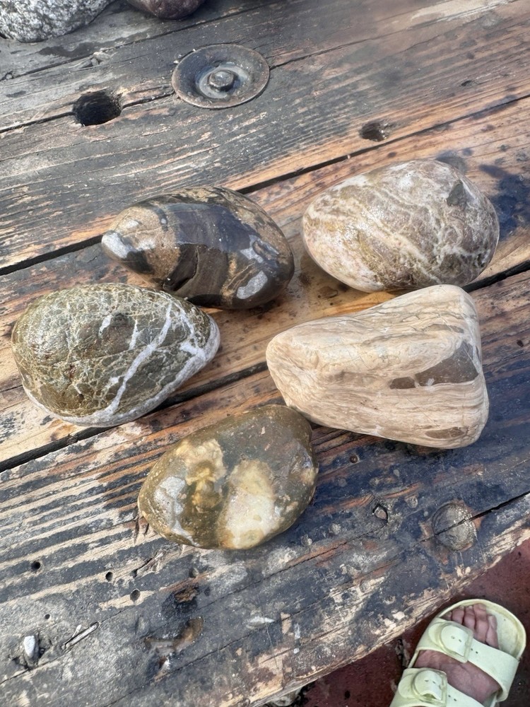 Rocks for Tumbling Lapidary Material Rough