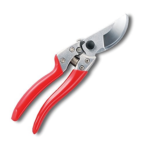 ARS V9 Pruning Shears VS-9Z NEW