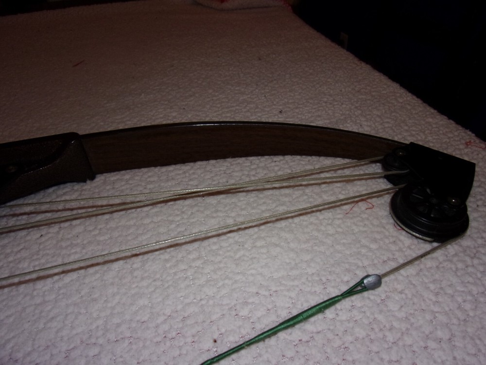 Bear Archery Whitetail Hunter Compound Bow