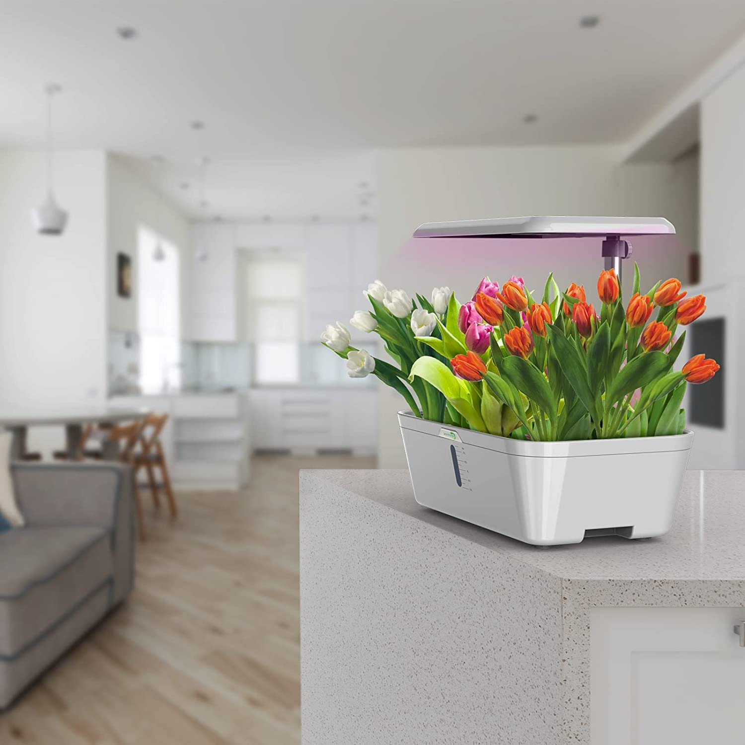 15 Grow Domes,15 Pod Labels,15 Grow Bla-Hydroponic-Garden System Seed-Pods Kit