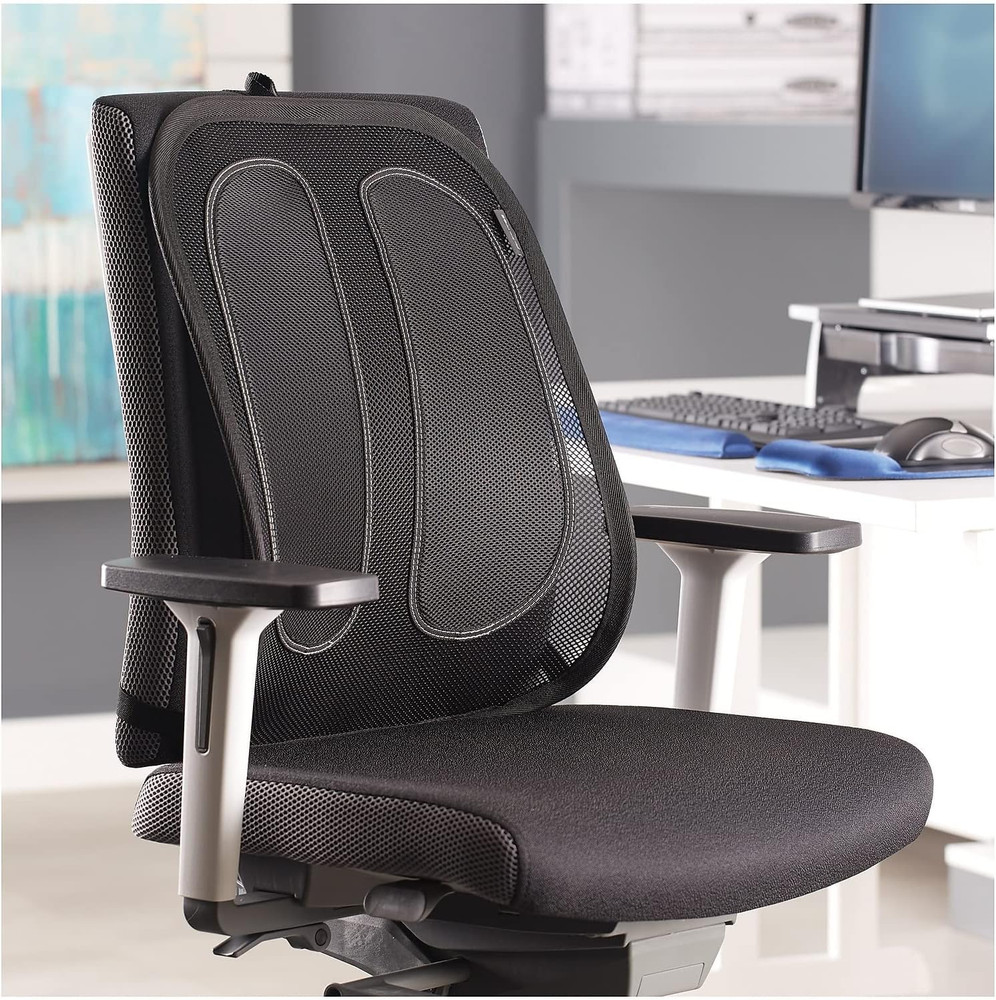 Office Suites Back Support, Graphite (9191301)