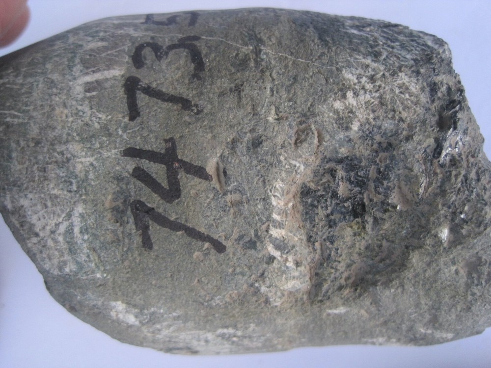 Large Core Sample Gray & Black 7473.5 5" x 3"