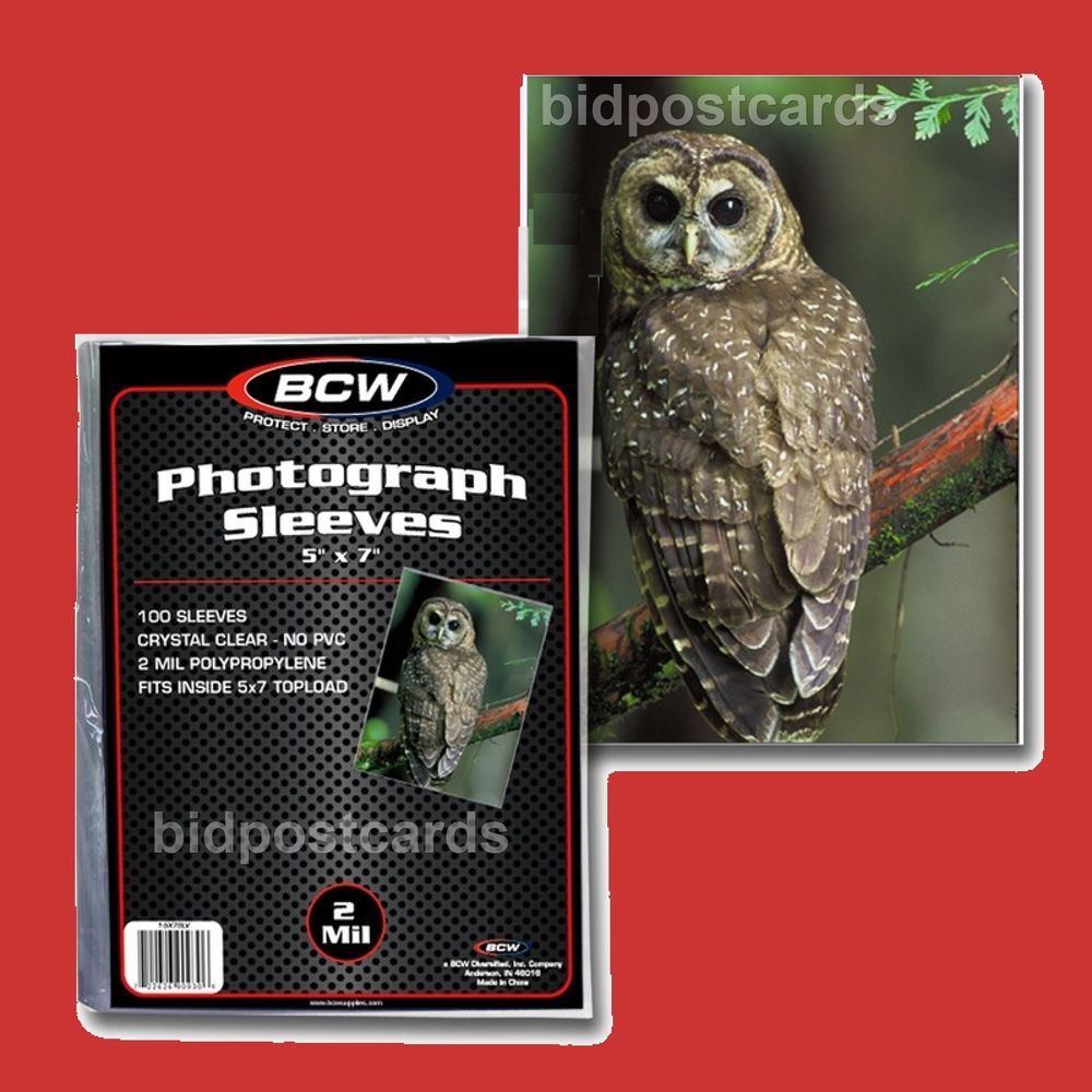 NEW 25 PK BCW 5 x 7 Photo  Poly Soft Sleeves Holders