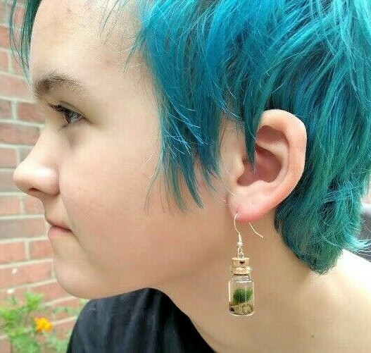 Marimo Terrarium Ear Rings