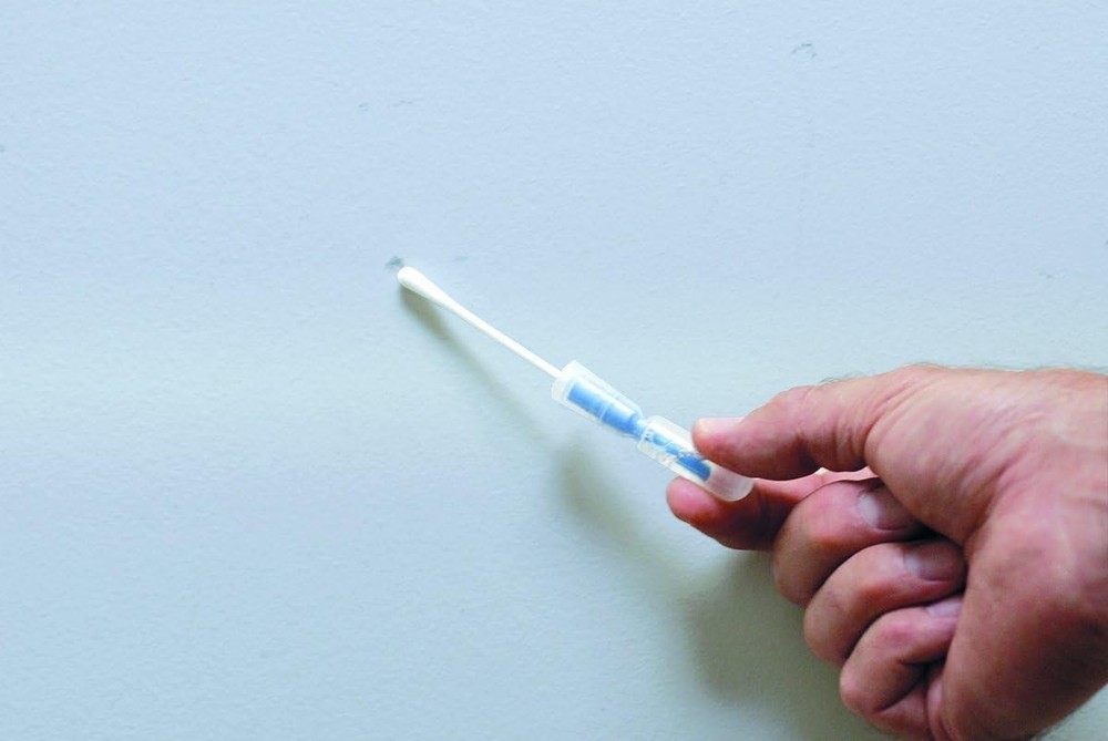 Mold with Expert Consultation - Quick Results