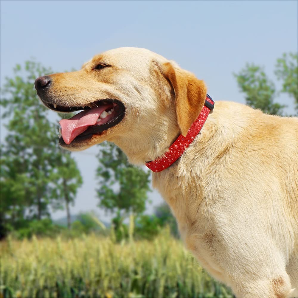 Glittering Basic Dog Collar Comfy & Durable Dog Collar for Small Medium Large...