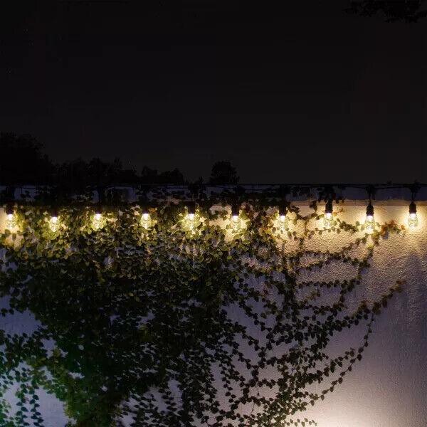 10ct Integrated LED Edison Bulb String Lights with Timer - Black Wire - Alpine