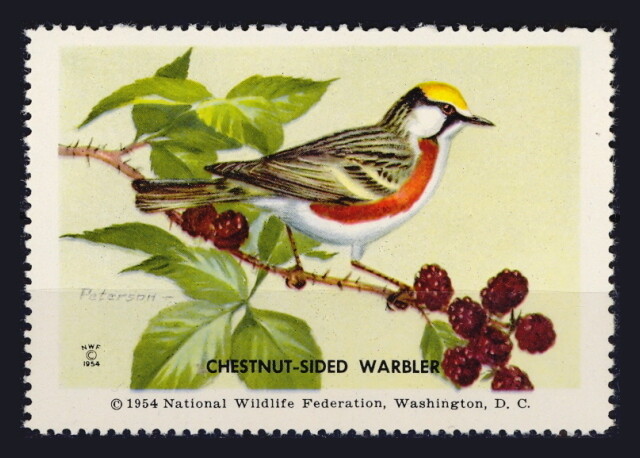National Wildlife Federation Stamp - 1954 MNH - Chesnut-Sided Warbler
