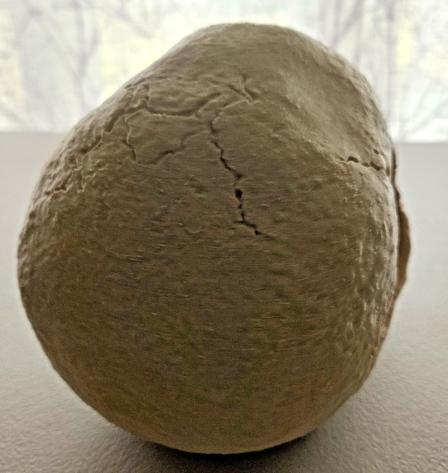 Large 3D Printed Human Skull 8 inch • Bone Color • Realistic Artistic Model