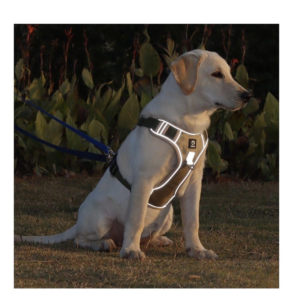 No Pull Dog Harness Adjustable Reflective Pet Harness Easy Control Handle Size L