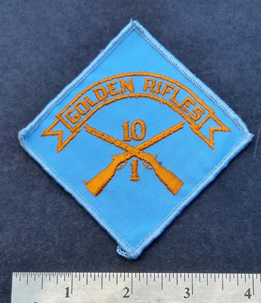 Original US Army Patch 1st Bn Battalion 10th Infantry Regiment Pocket Patch