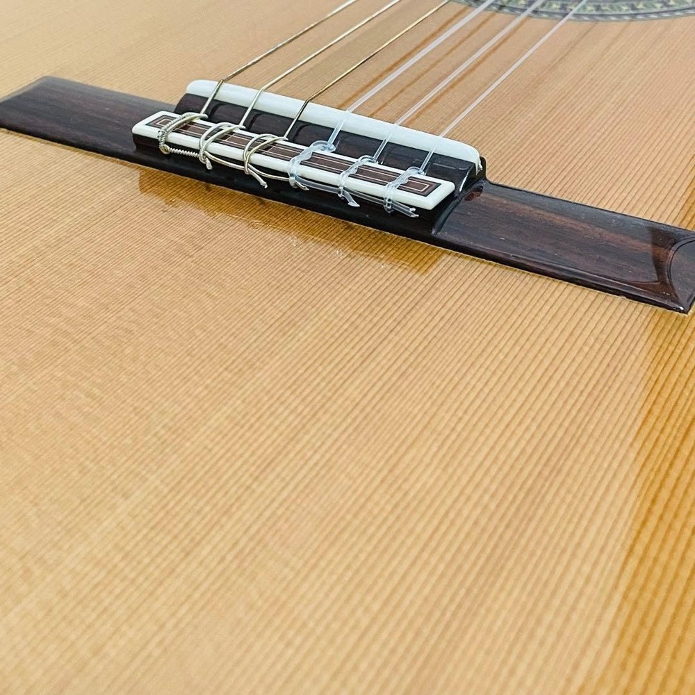 Ecole EL600 Classical Guitar With Strings, No Accessories