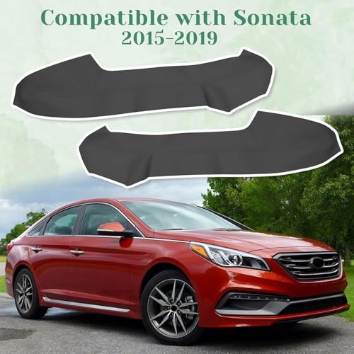 2PCS Front Door Panel Armrest Cover Replacement Compatible with Hyundai Sonata