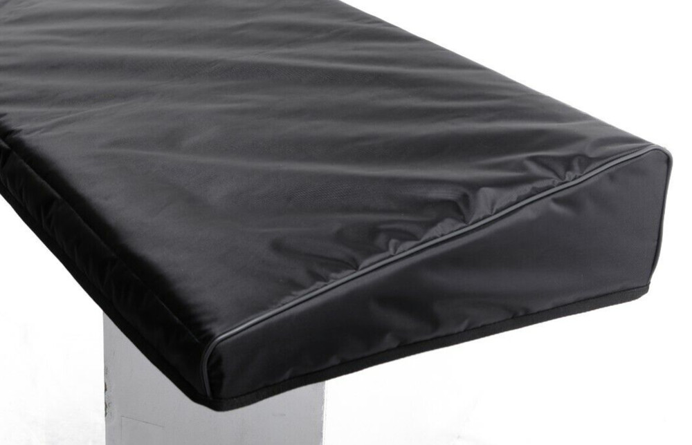Custom padded cover for Fender Tone Master Pro guitar FX processor
