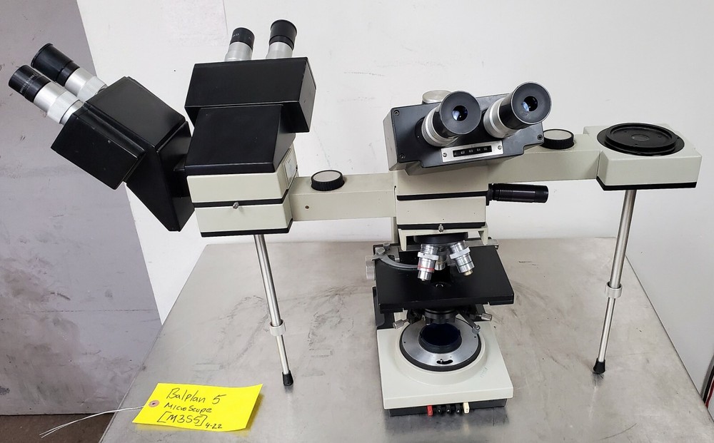 Bausch & Lomb Balplan 5 Multiple Viewing Conference Microscope  SEE VIDEO [M3S5]