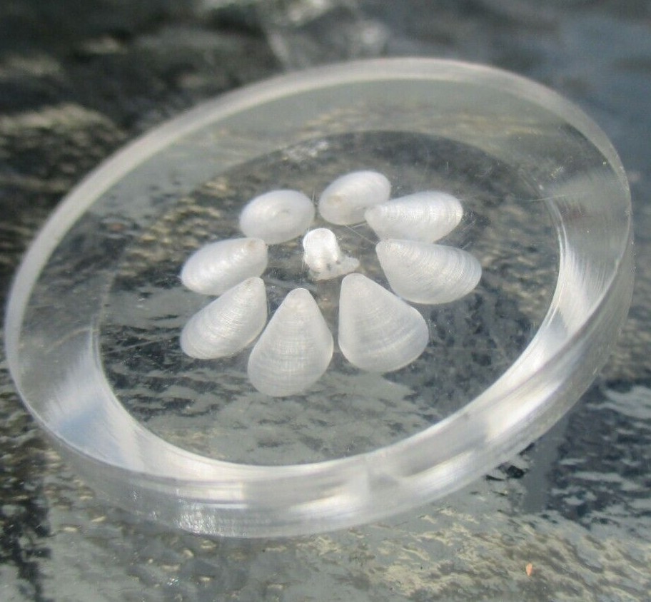Inverse Carved Lucite Button Large Clear Reverse Flower 1950s