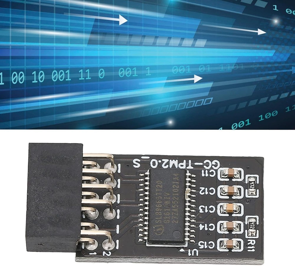 Advanced TPM 2.0 Encryption Module, 12-Pin, for Windows 10/11 Compatibility