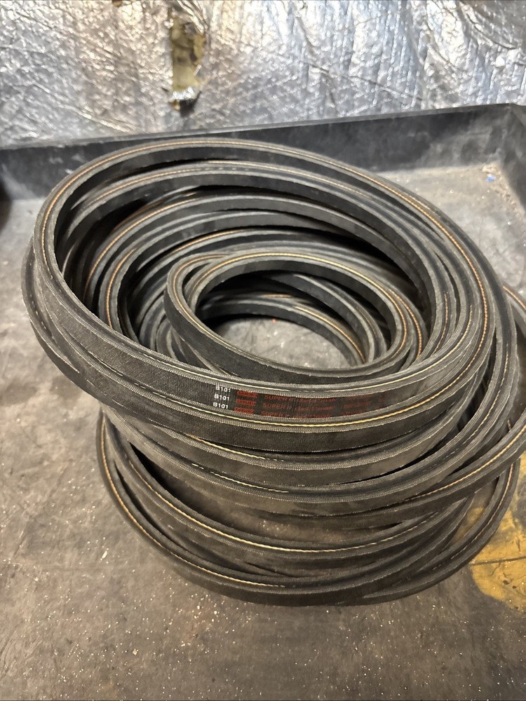 B101 Carlisle Belt