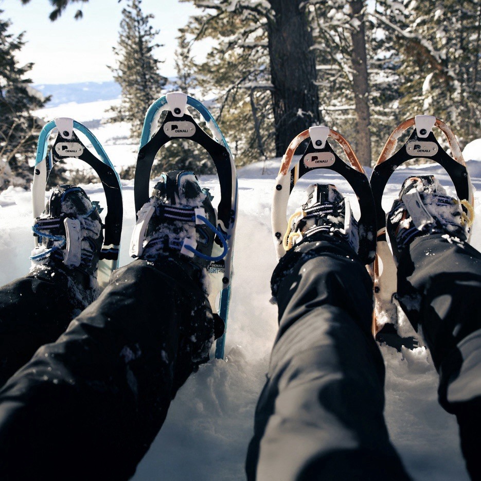 Denali Pro Snowshoes 8x25 Winter Hiking Kit w/ Poles & Carry Bag – 200 lb Rated