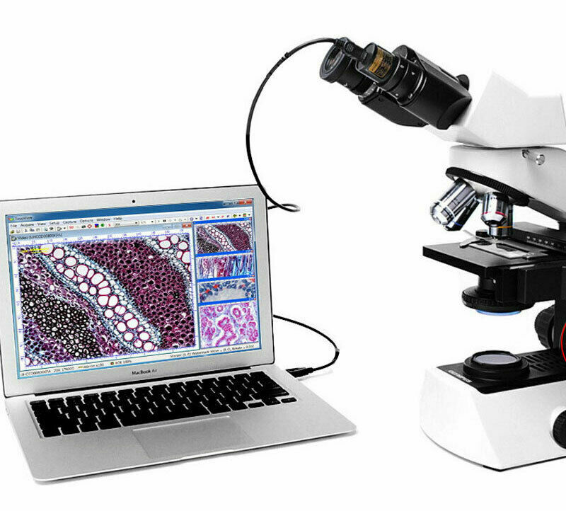 5MP USB CCD Video Digital Camera Microscope Electronic Eyepiece w Micrometer