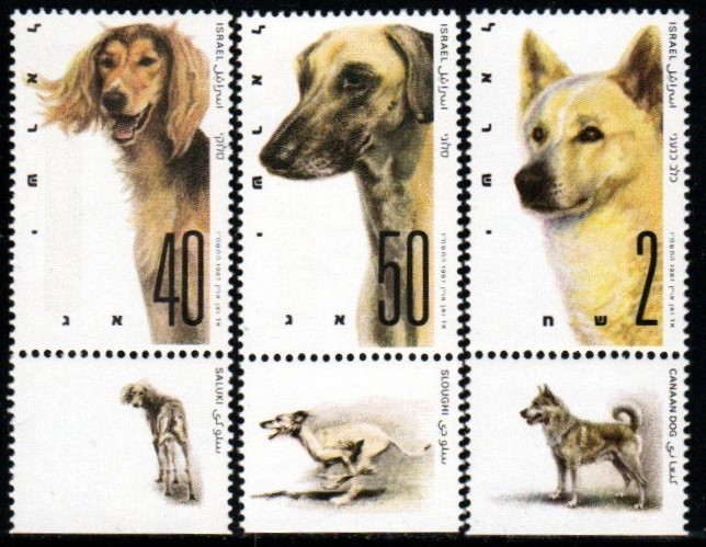 Israel Stamp 965-967  - World Dog Show