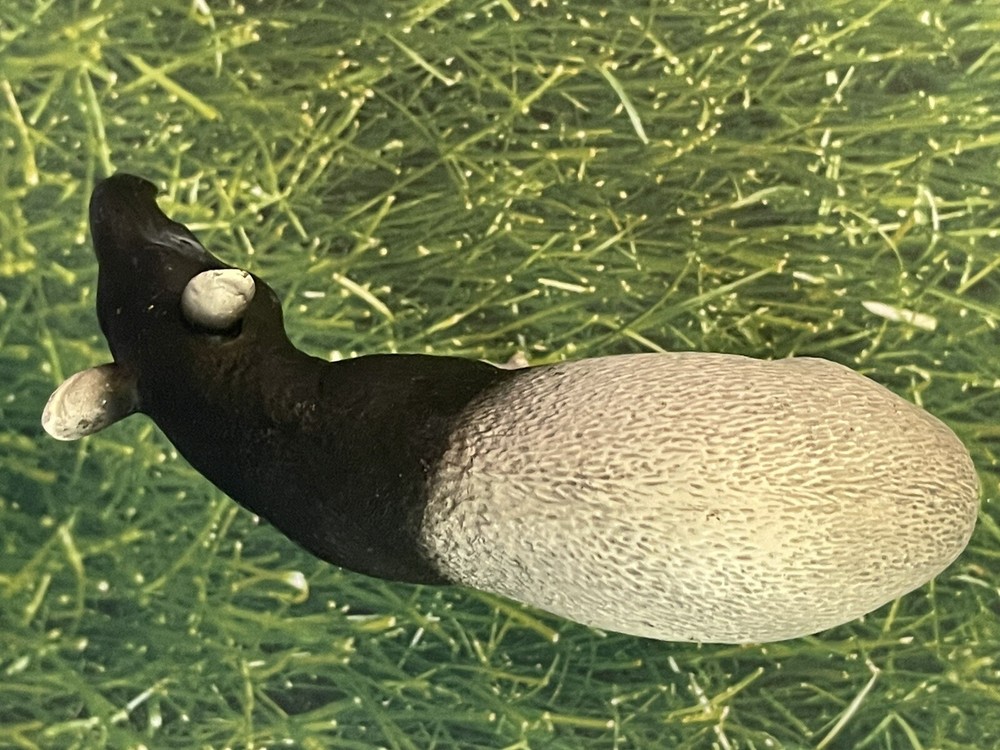Schleich Malayan Tapir 2009 14615