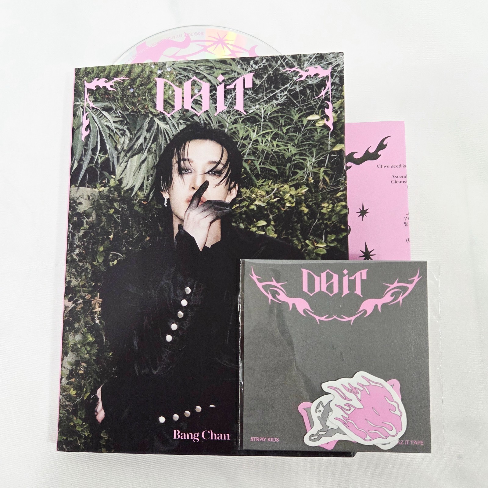 [ON HAND] STRAY KIDS DO IT Album ACCORDION Ver. DO/ IT Ver. Official Photocard