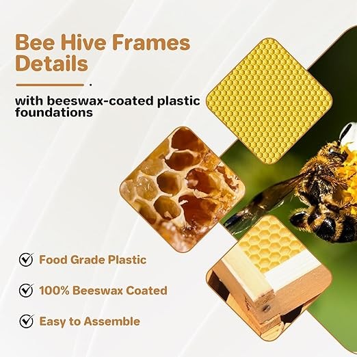 10 Frame Bee Hive Starter Kit 1 Wood Medium Boxes with Windows for Beekeepers