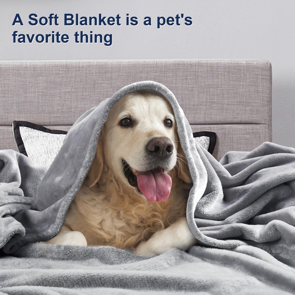 DREAMNINE Extra Large Soft Comfy Fluffy Queen Size - 90" x 90", Plain - Grey