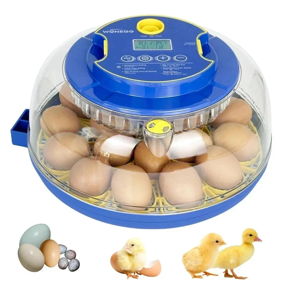 Incubators for Hatching Eggs,18 Egg Incubator with Automatic Egg Turning and ...