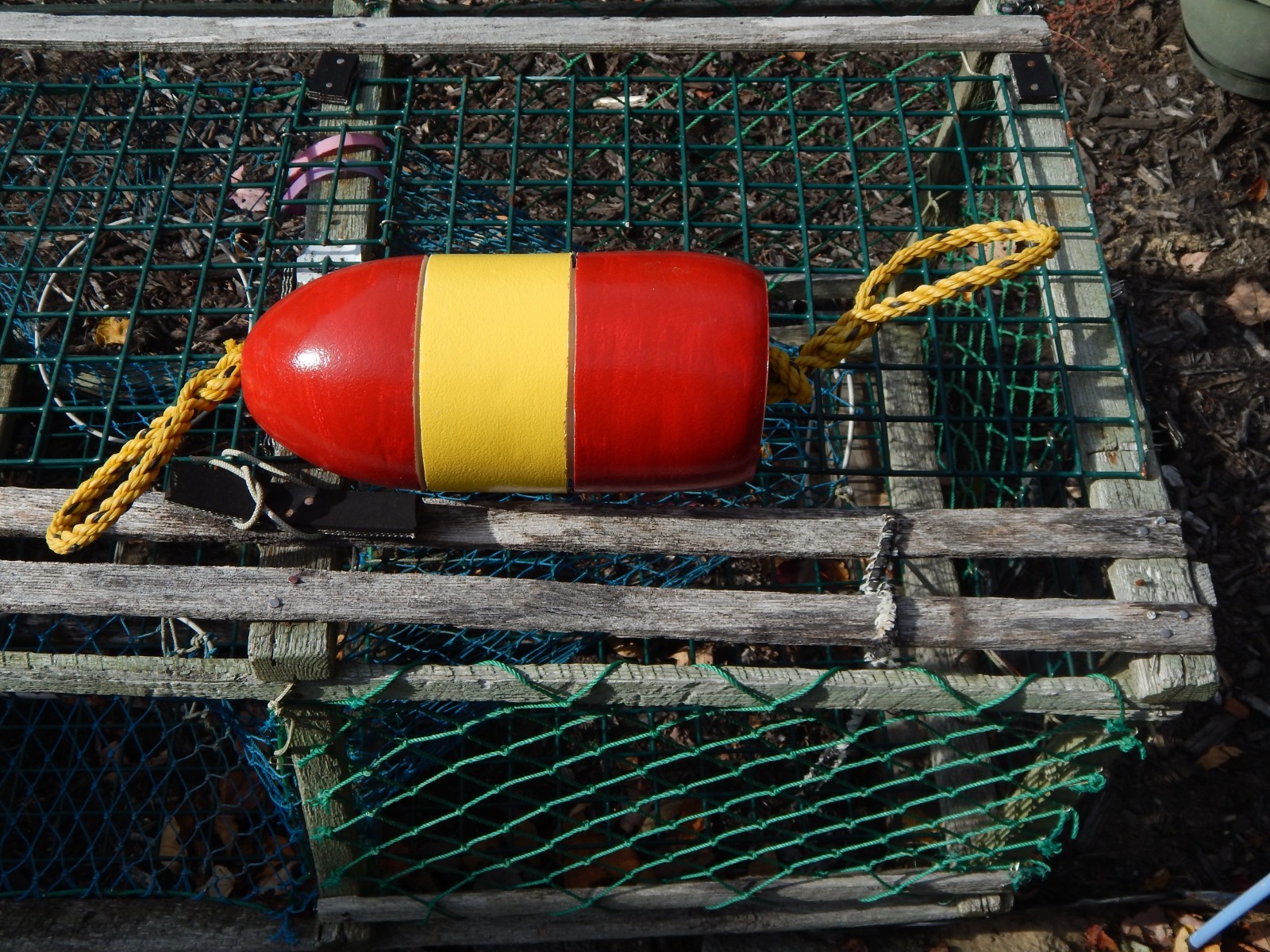 FREE SHIP 199 Maine Lobster BUOY nautical pot bouy float shore crab Lake CAPE