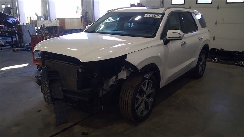 2020 Palisade Camera/Projector Sku#3646401