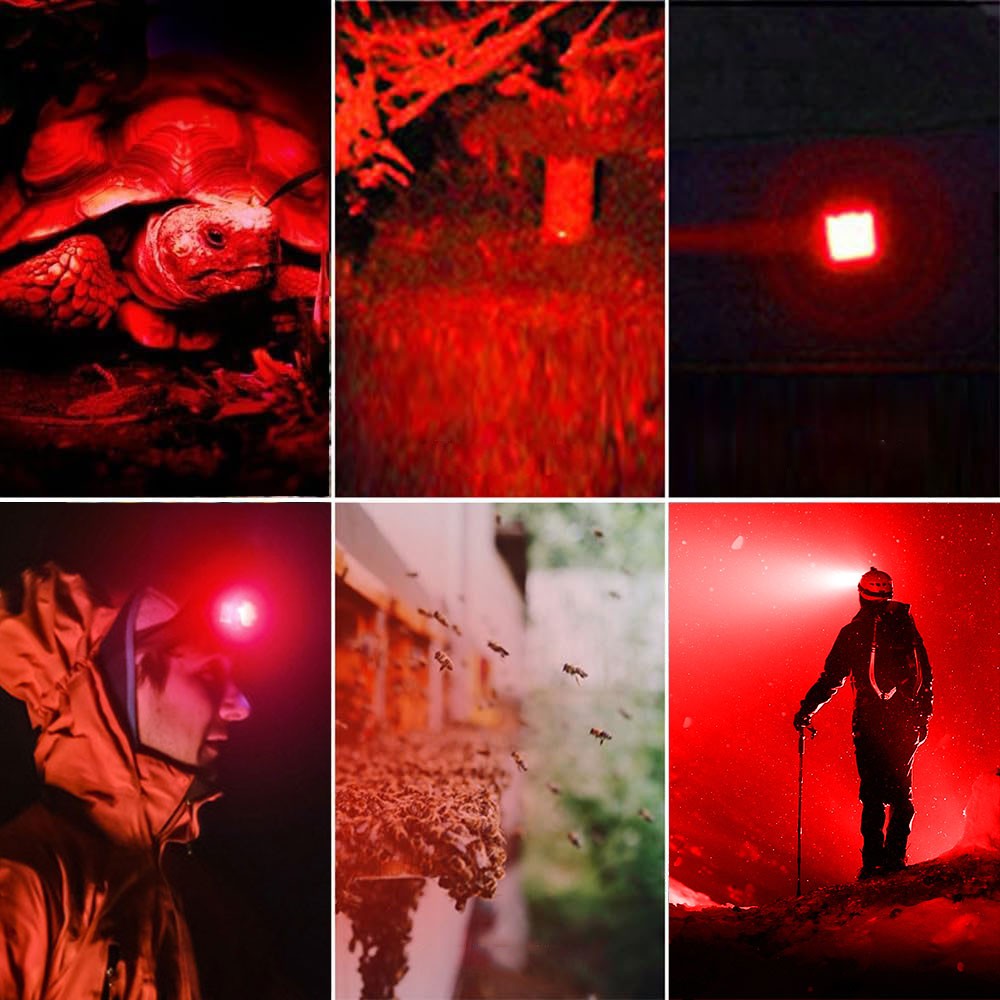 Predator Sensor LED Headlamp Head Torch Red Light USB Rechargeable Zoomable Lamp