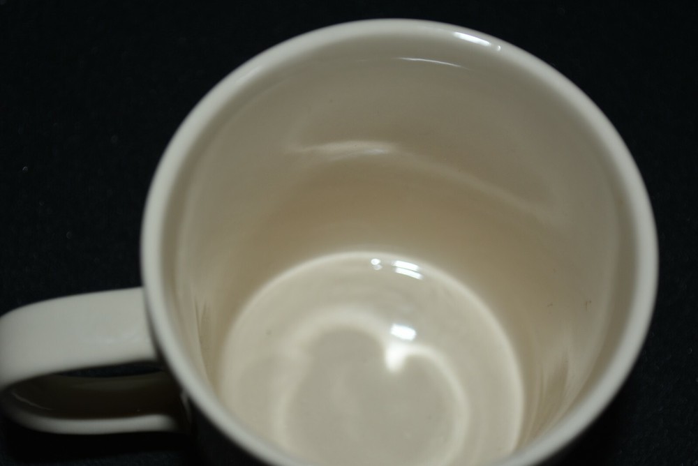 OPERATION DESERT SHIELD STORM facts COFFEE CUP - MUG EUC