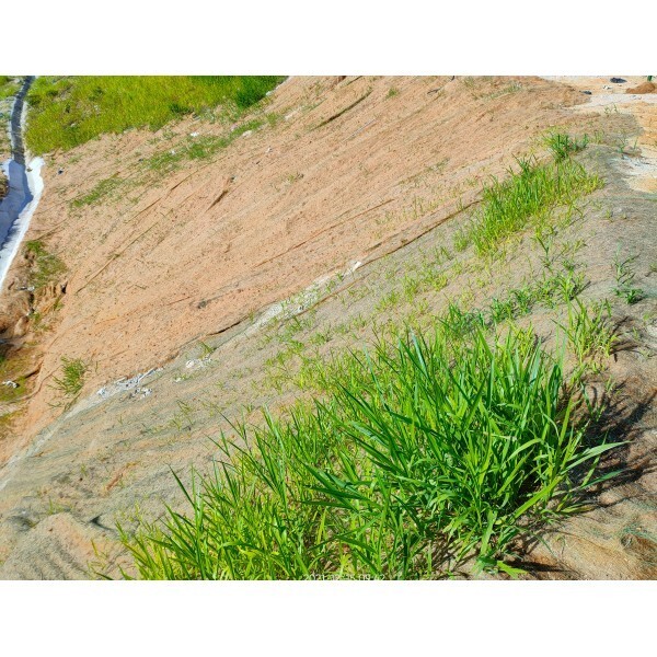 Straw Erosion Control Blanket