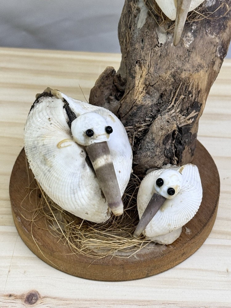 Handmade Seashell Seagulls Sitting on Driftwood