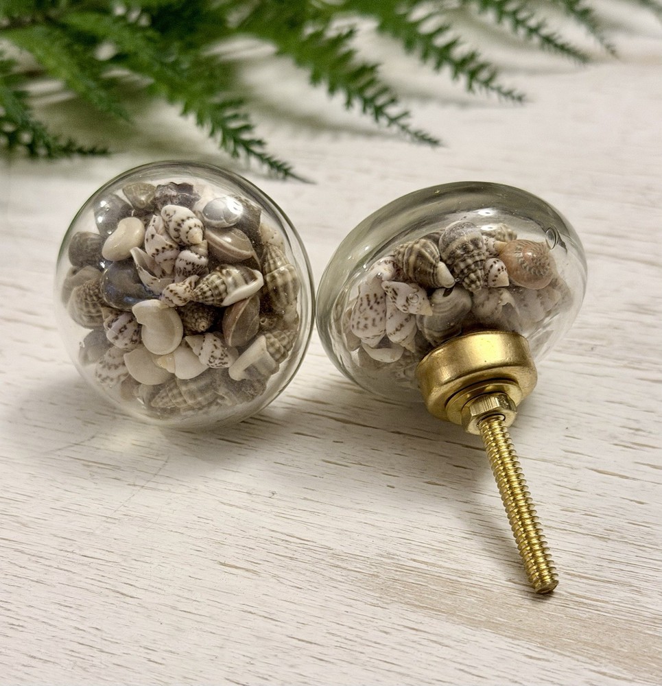 1 Seashell Filled Glass Drawer Pulls Knobs Cabinet Nautical Beach Decor Hardwar
