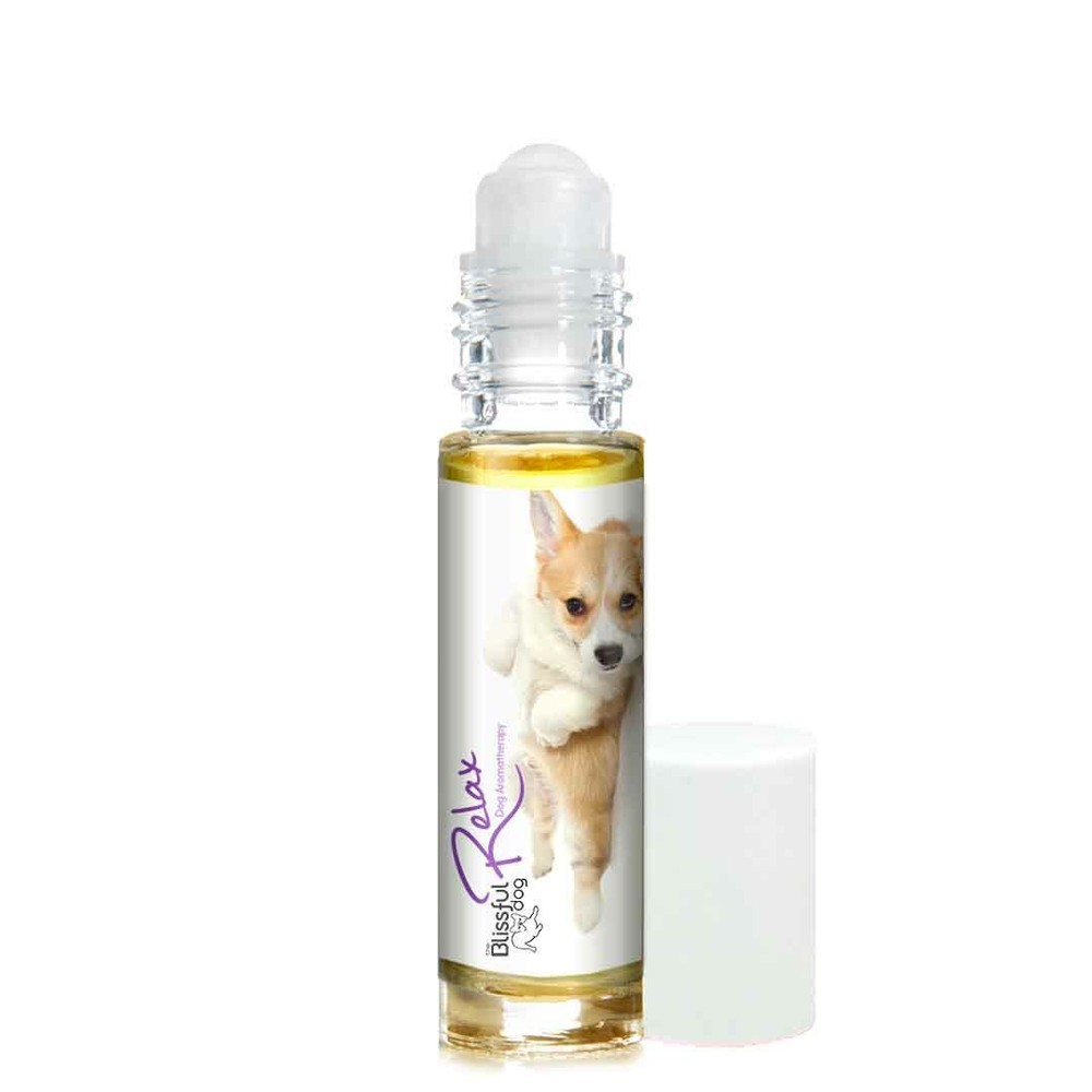 Corgi Relax Dog Aromatherapy | Thunderstorms, Fireworks, Separation Anxiety