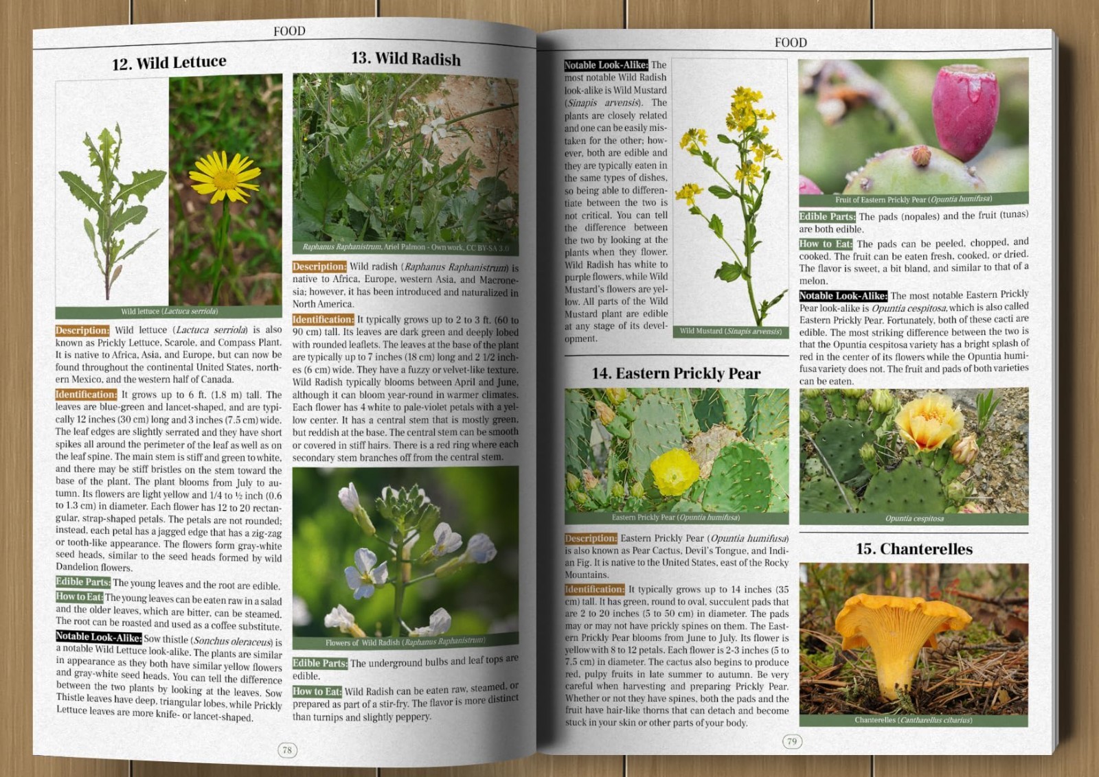 Wilderness Long-Term Survival Guide: Forgotten Skills to Make the Wild Your Home