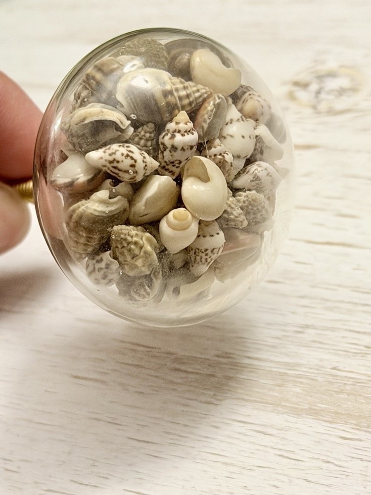 1 Seashell Filled Glass Drawer Pulls Knobs Cabinet Nautical Beach Decor Hardwar