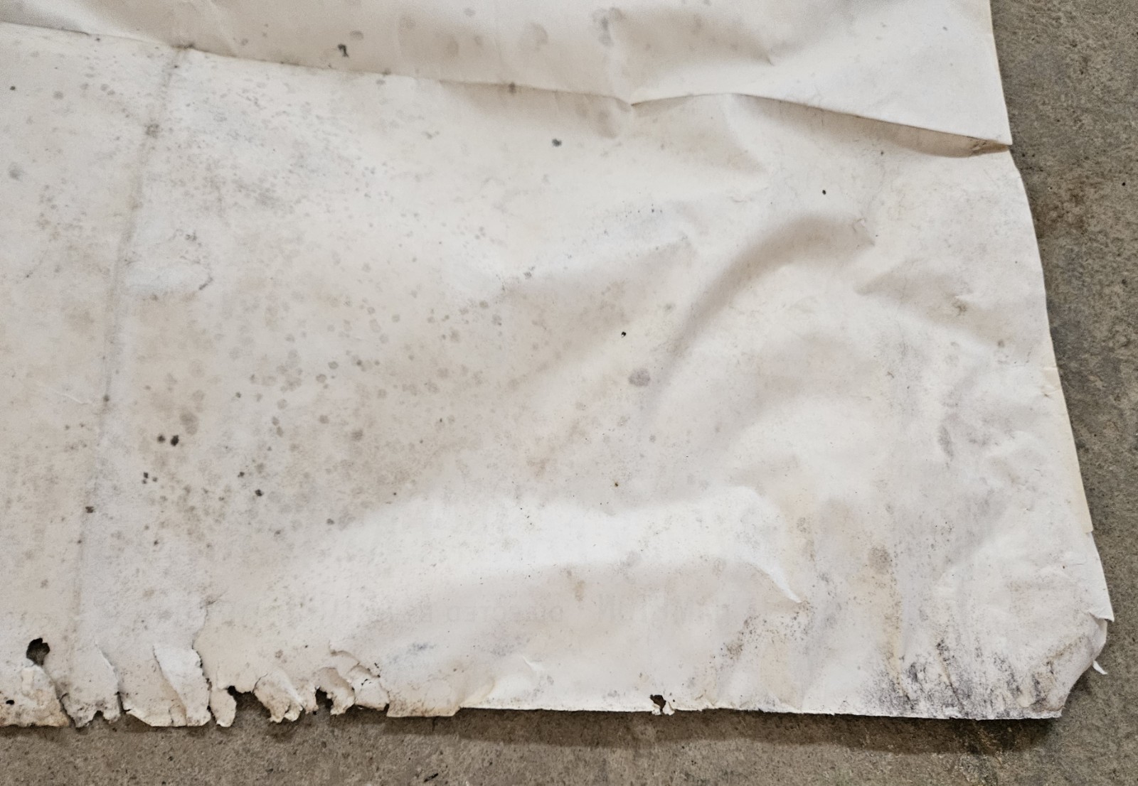 Vintage Original Riot On Sunset Strip 1967 Movie Film Poster SEE DAMAGE RARE🌴🎬