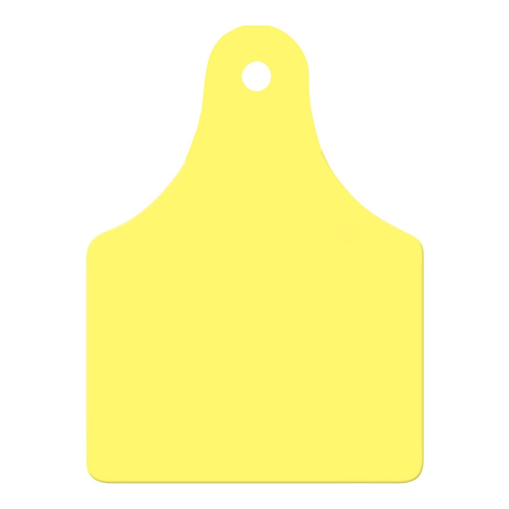 Global Large, Blank (25) Color: Yellow