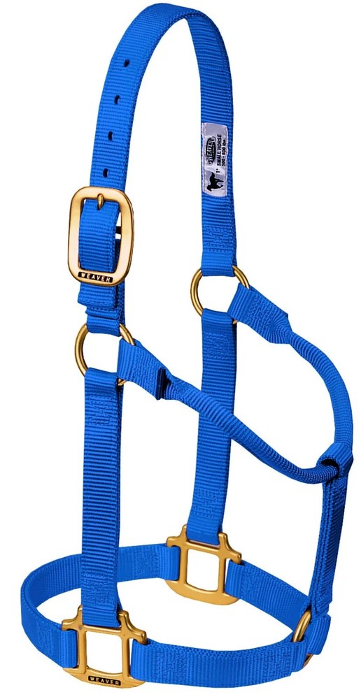 WEAVER Nylon BLUE Basic Non-adjustable Horse Halter 1" Average Weanling Draft