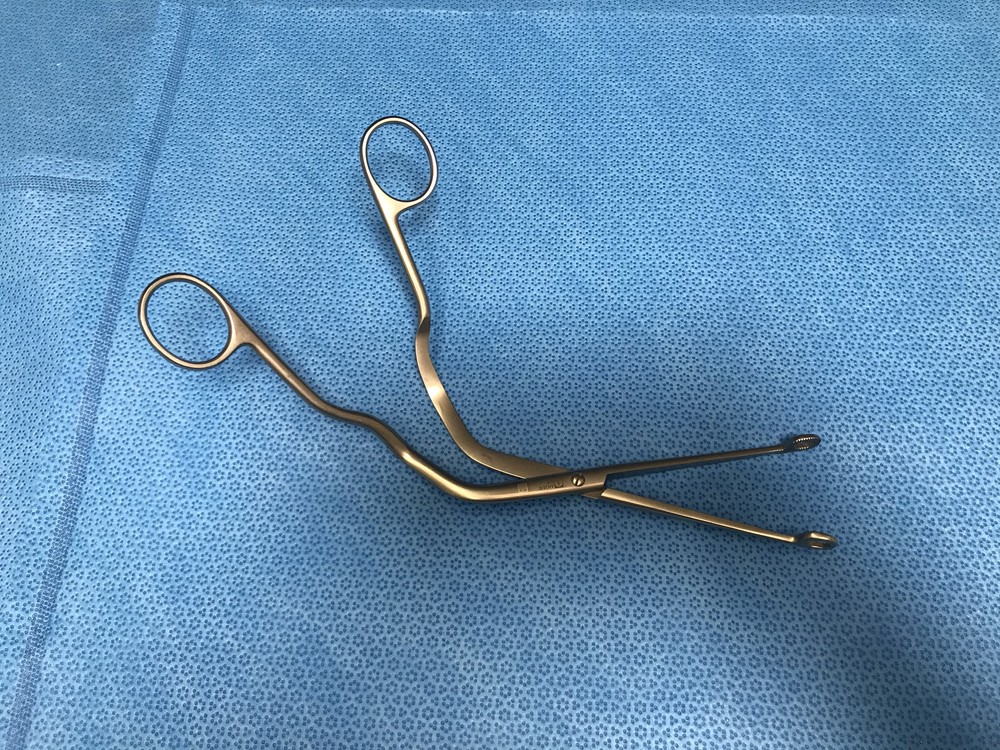 Aesculap AN381R Magill Forceps
