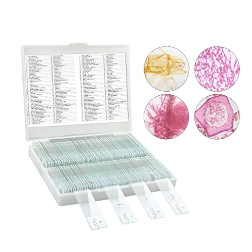 100 Pcs Prepared Microscope Slides Set for Kids, Home School Science Learning