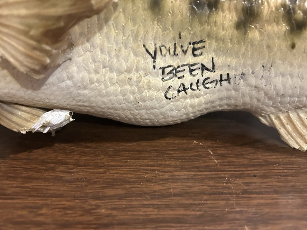 20” Large Bass Fish Mount